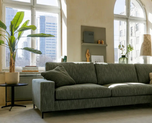 Salon moderne avec un canapé gris, une plante verte et de grandes fenêtres cintrées laissant entrer la lumière du soleil. Canape Paris by Atelier Bis